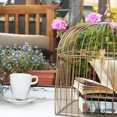 אכסניה High Life