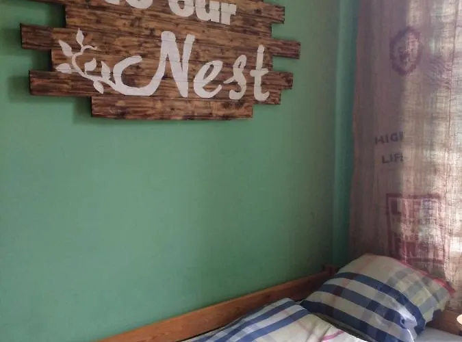 High Life بيت شباب